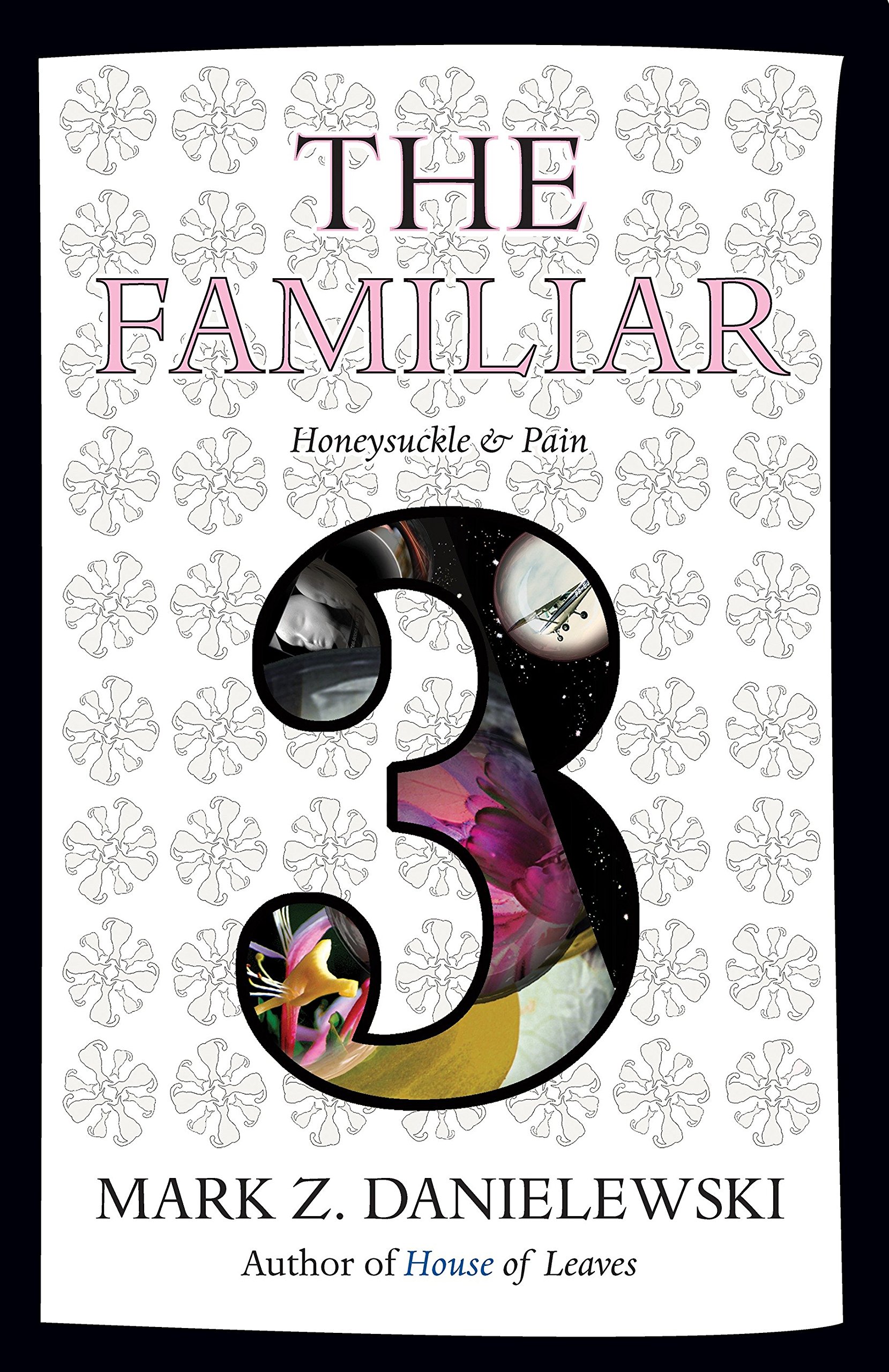 Mark Z. Danielewski: The Familiar, Volume 3 (2016)