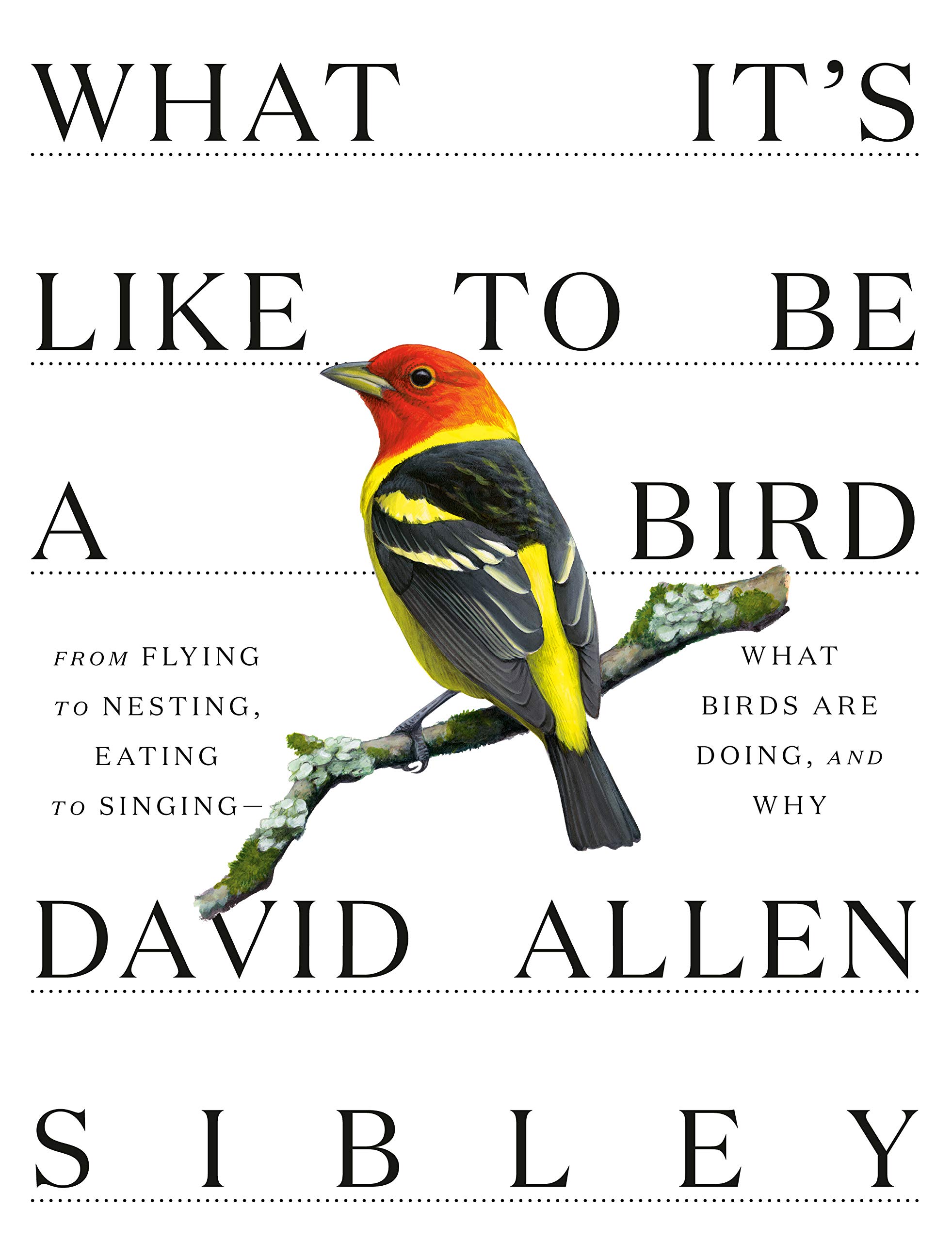 David Sibley: What It's Like to Be a Bird (2020, Knopf Doubleday Publishing Group)